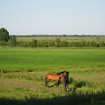 Appartamento Nordseekrabbe 12 Herrenhof Wrixum