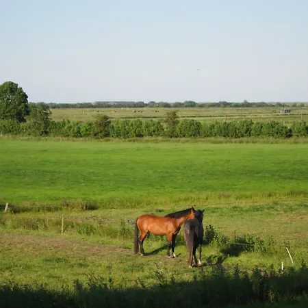 Апартаменты Nordseekrabbe 12 Herrenhof Wrixum