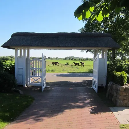 Nordseekrabbe 12 Herrenhof *