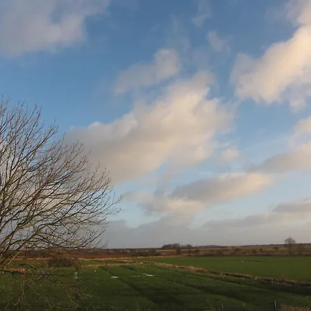 Nordseekrabbe 12 Herrenhof