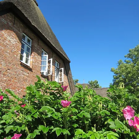 Daire Nordseekrabbe 12 Herrenhof Wrixum